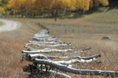 Mountain-Fence