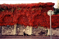 Red-Stone-Wall