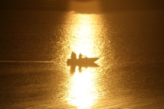 Sunset-Fishing-Silhouette