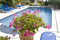 Backyard-Tropical-Pool